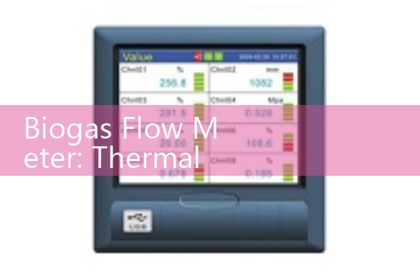 Biogas Flow Meter: Thermal Mass Systems for Corrosive Methane Lines
